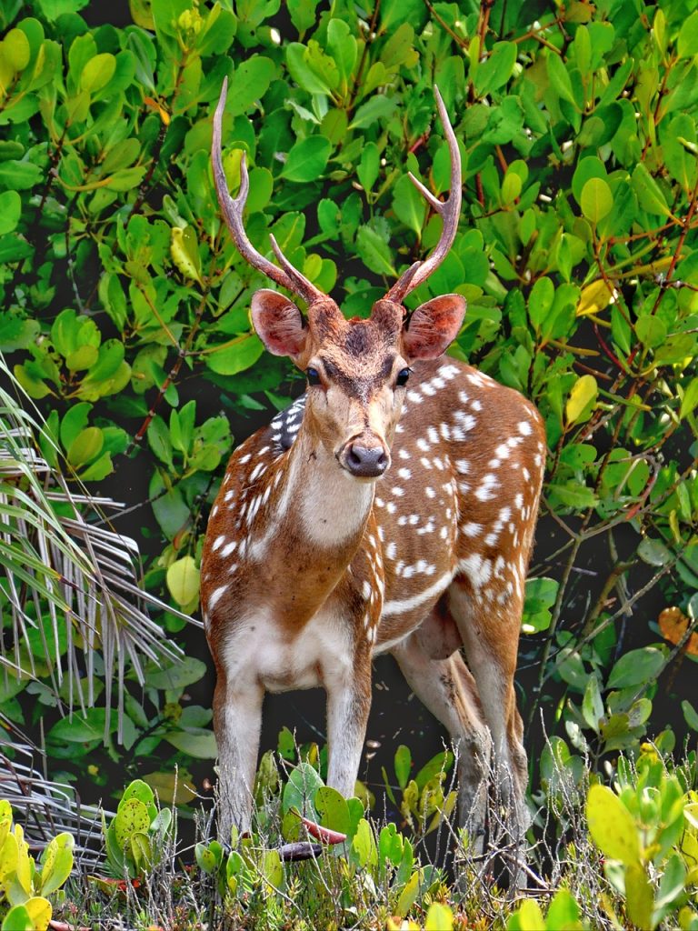 Why You Should Visit Bangladesh